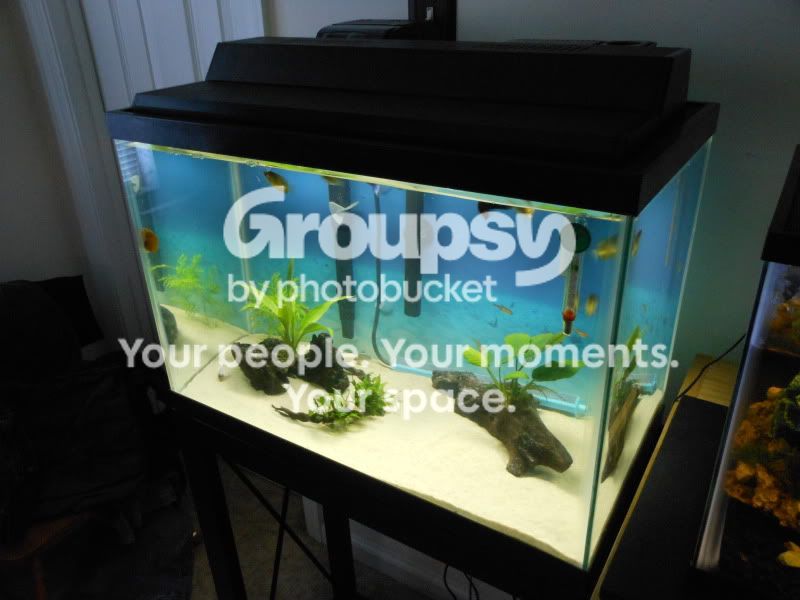 DSCN0560.jpg