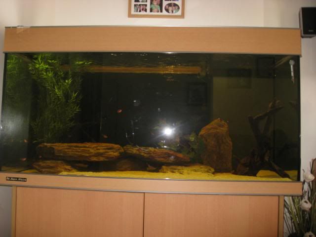 IMG_3163.jpg