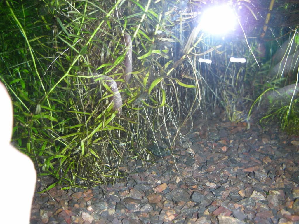 DSCN0640.jpg