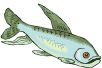 __FIS13.gif