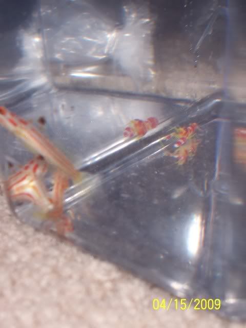 100_5356.jpg