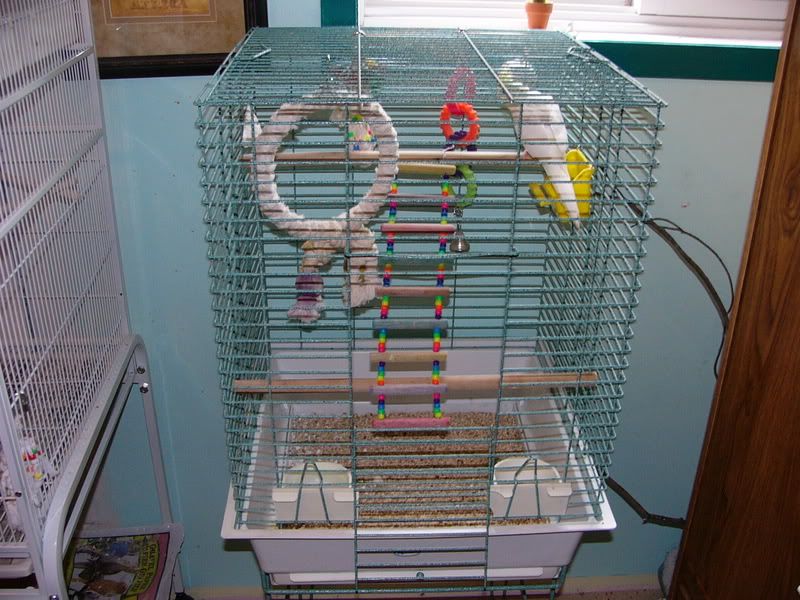 24154035.jpg