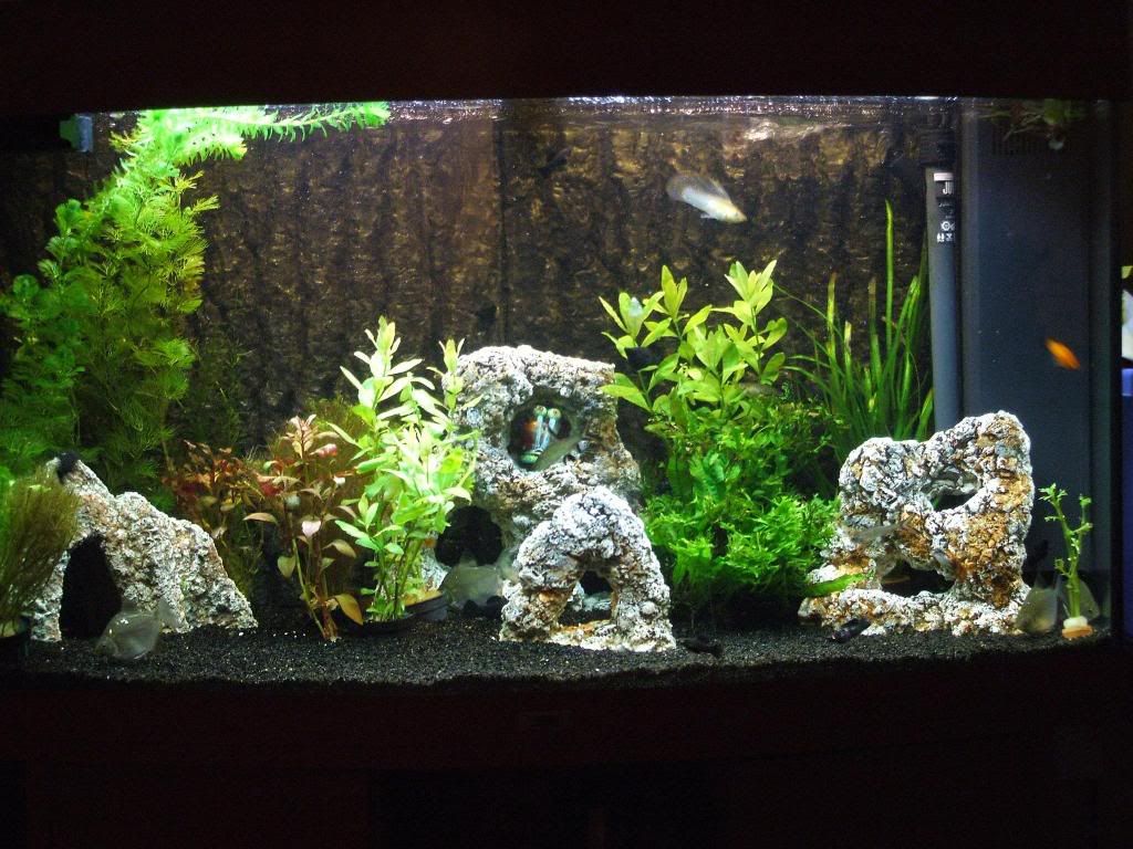 180l.jpg