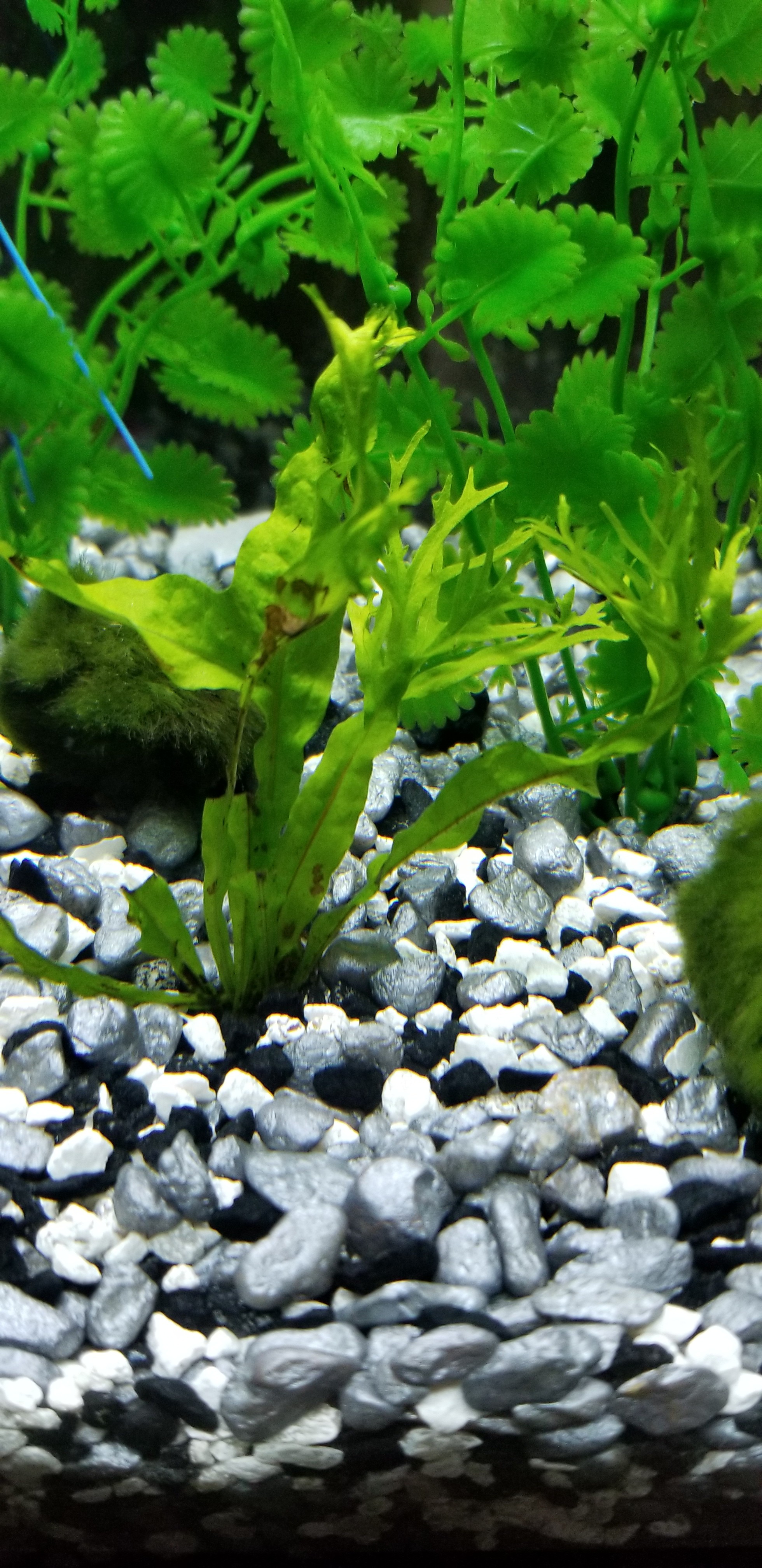 20180312_094347.jpg