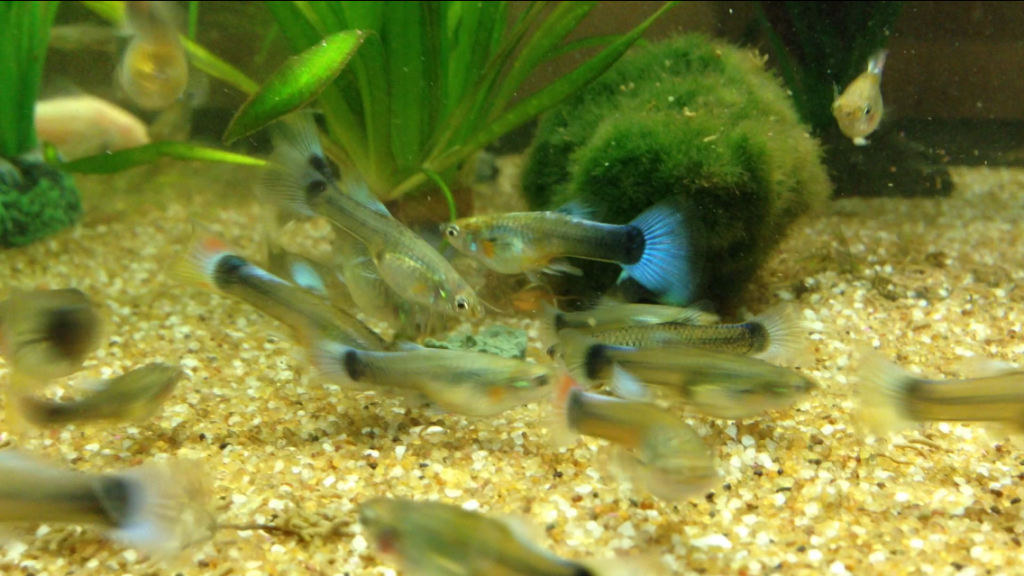 photo_zps2c62f285.png