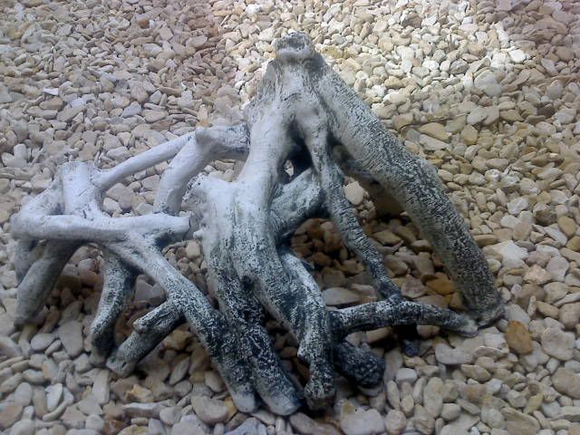 Photo00006.jpg