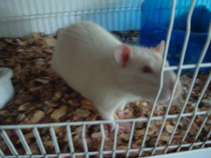 jimmyandsquishy002.jpg