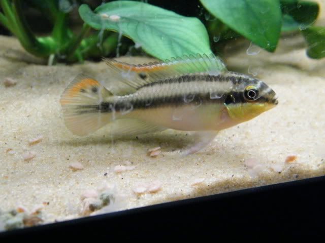 DSCF3916.jpg