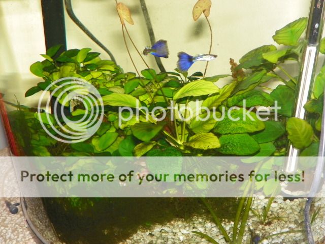 20120416_77-1.jpg