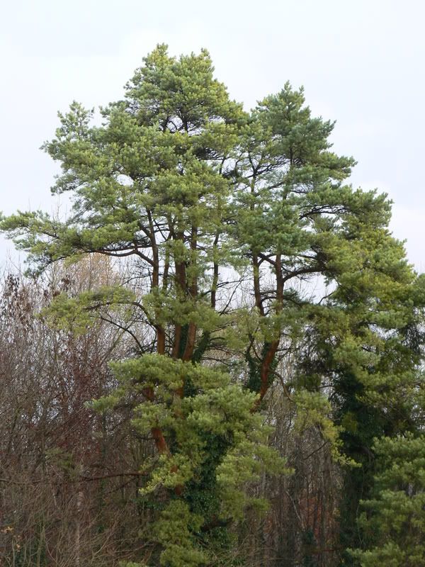P1000109.jpg