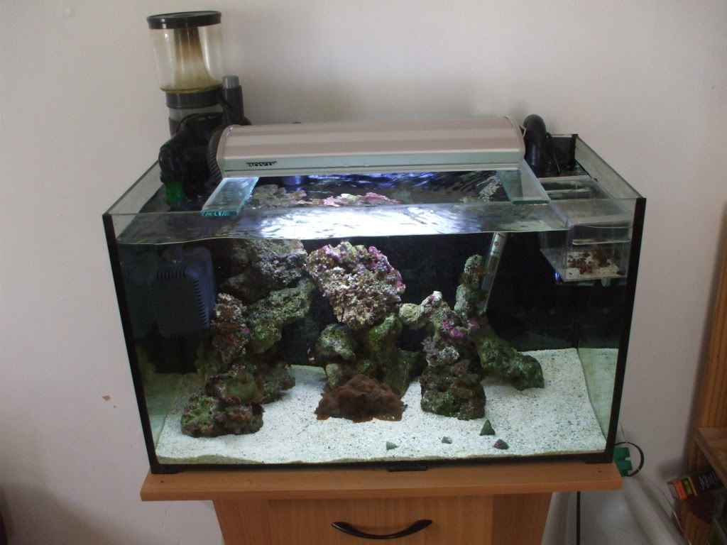 DSCF9070.jpg