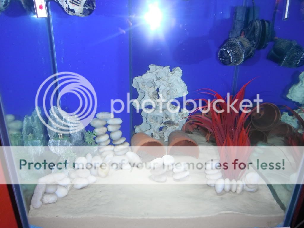 DSCF1127.jpg