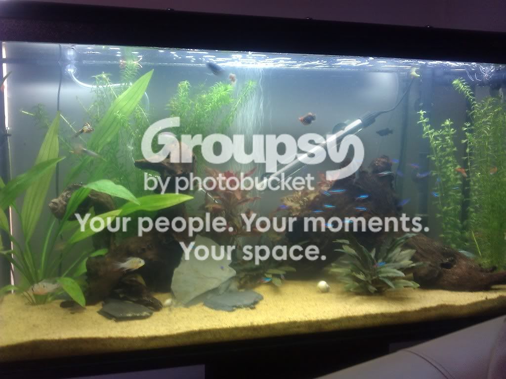 IMAG0335.jpg
