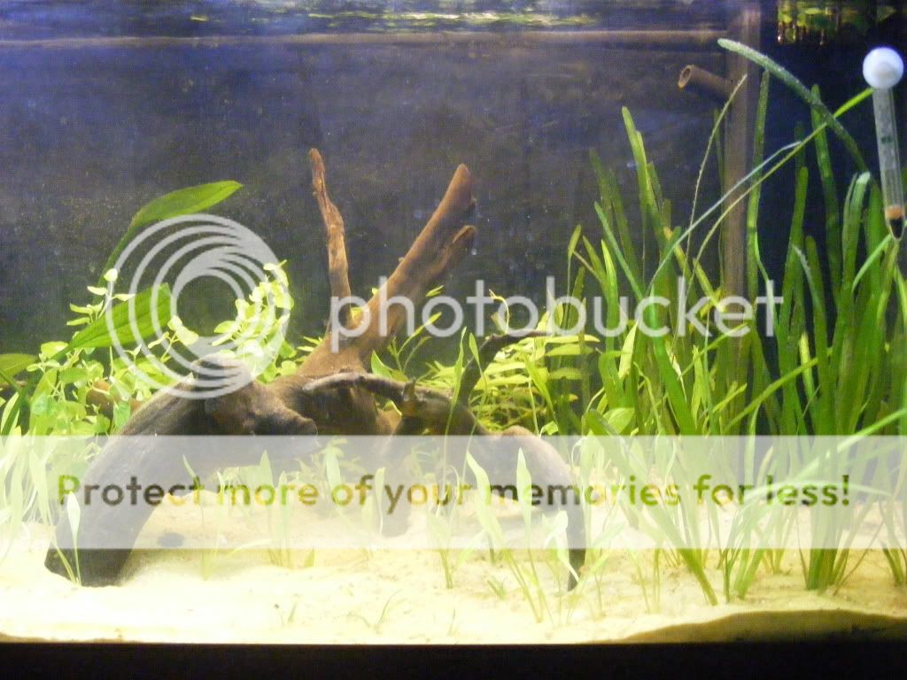 DSCF5894.jpg
