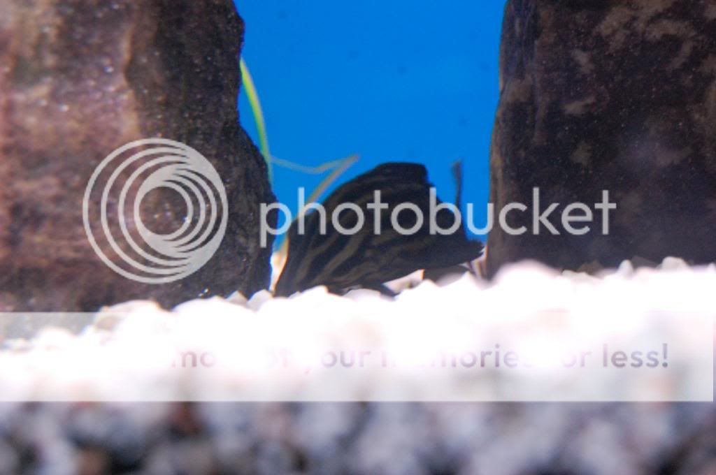 Nikonfirstday044.jpg