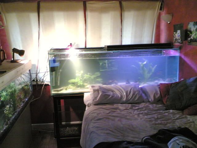 07052006.jpg