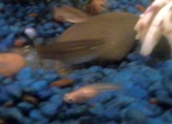 Picture0618130903_1.jpg