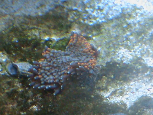DSC00020.jpg