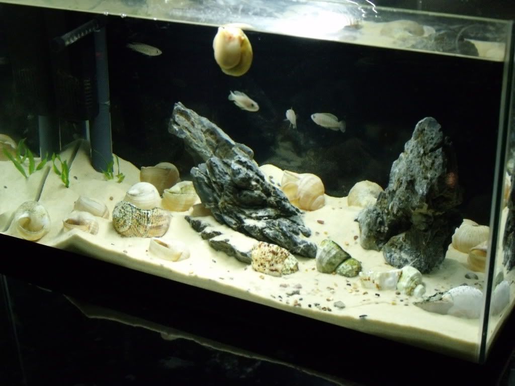 DSCF1032.jpg