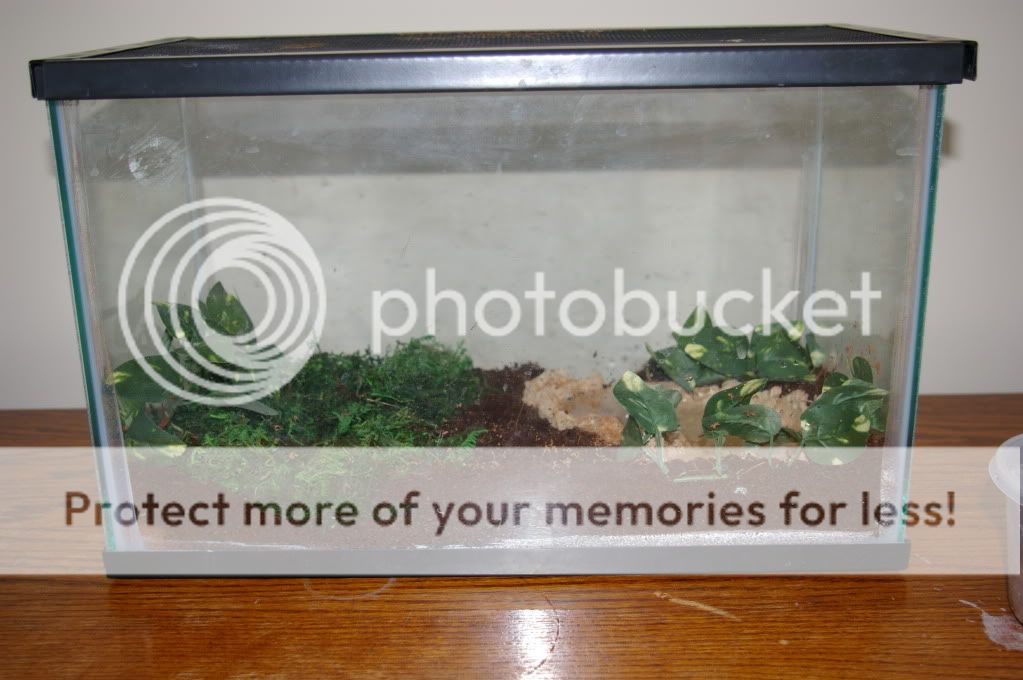 IMGP1091.jpg