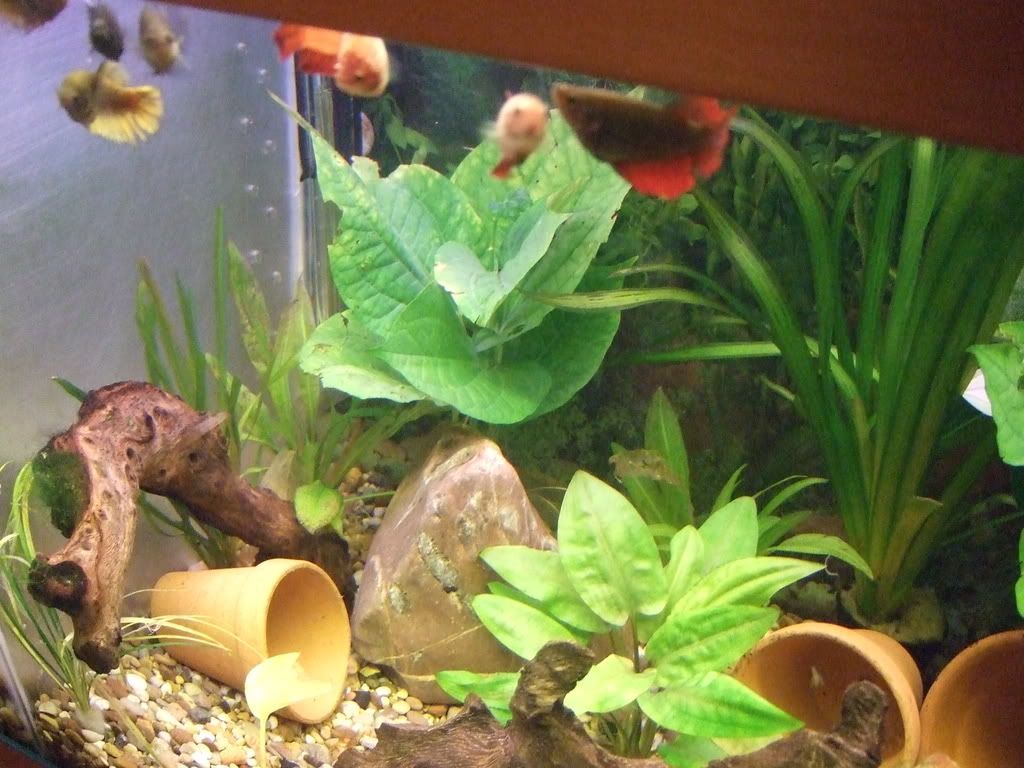 DSCF6873.jpg