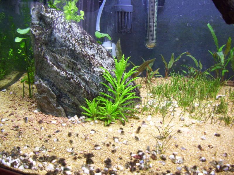 100_0740.jpg