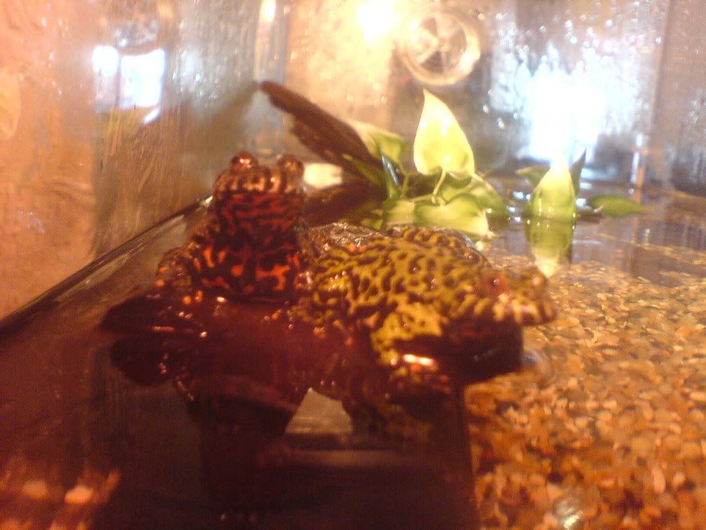 DSC02100.jpg