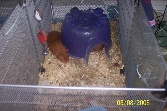 000_2620.jpg