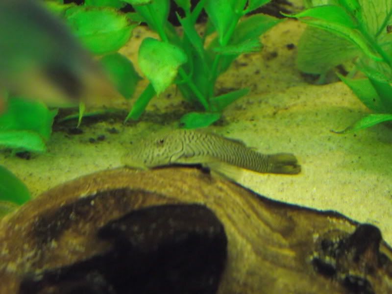 DSCF1608.jpg