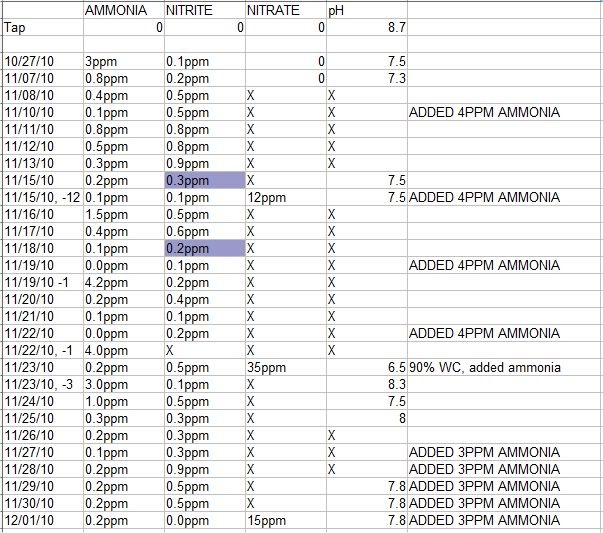 cycle120110.jpg