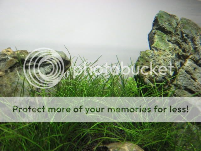 20090527003.jpg