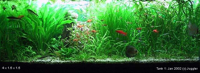 tank1_020114.jpg