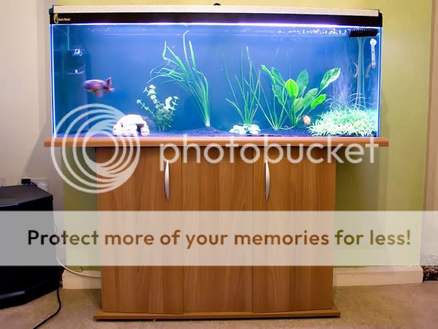 Fish0003.jpg