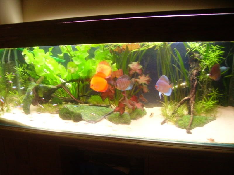 jan07019.jpg