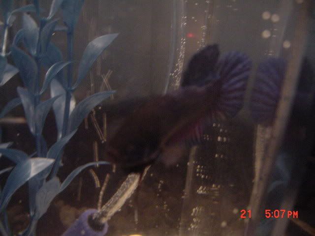 DSC00326.jpg