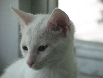 IMG_0716.jpg