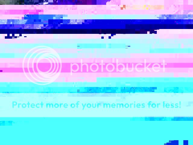 orange2.jpg