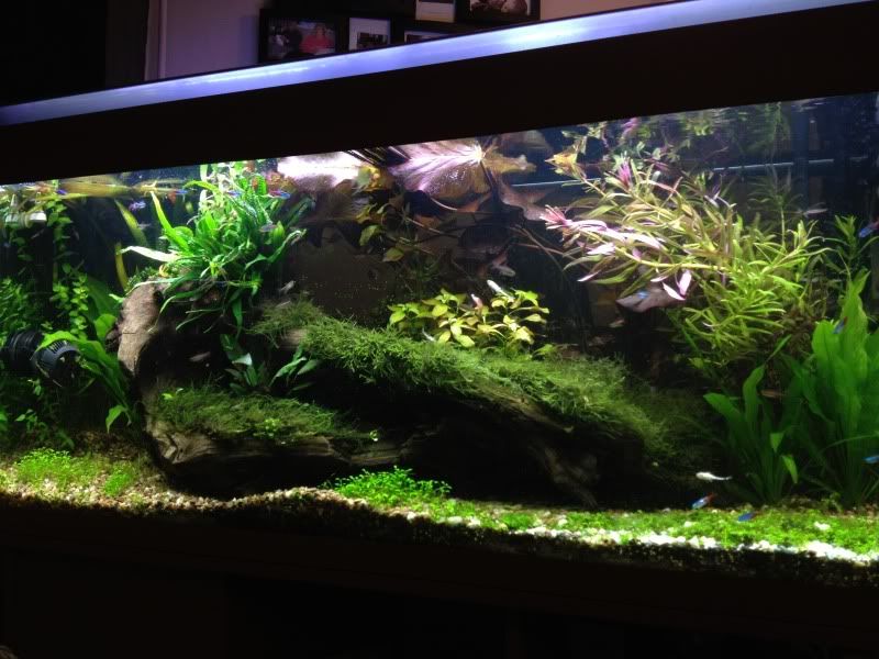 tank025.jpg