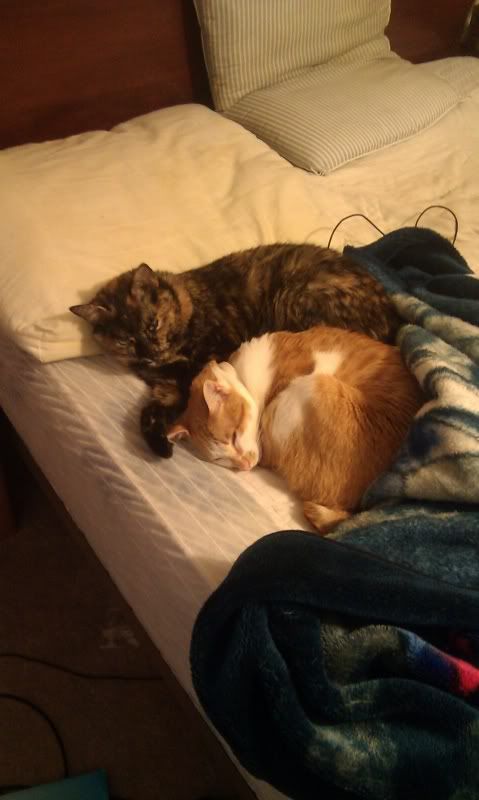 IMAG0035.jpg