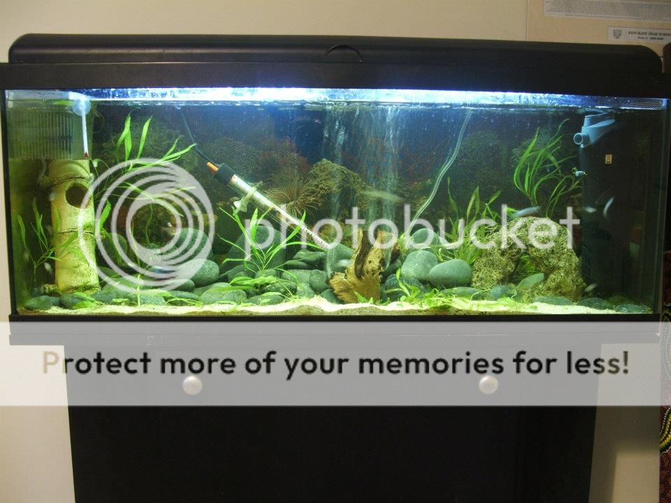 oldtank.jpg