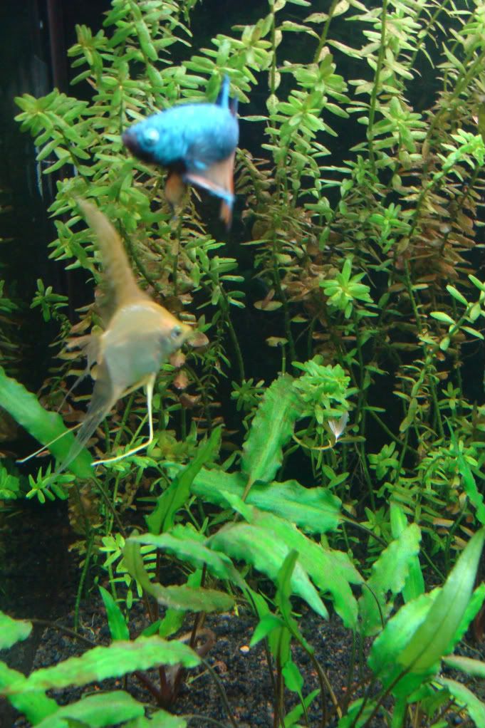 DSC08373.jpg