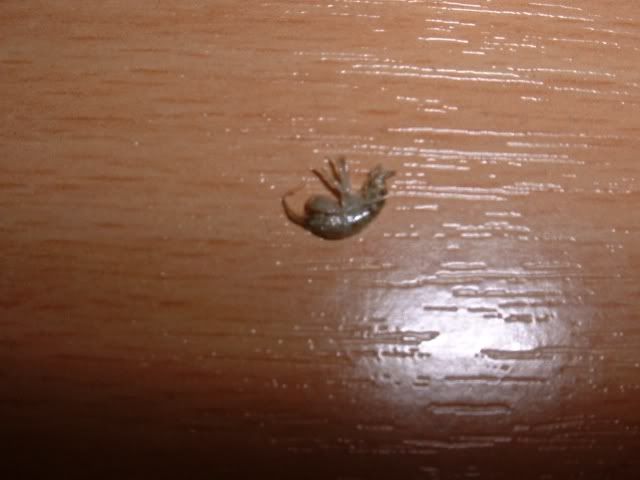 DSCF0168.jpg