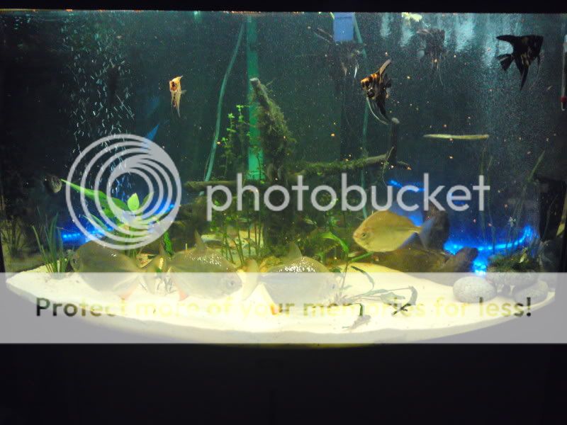 DSC03168.jpg