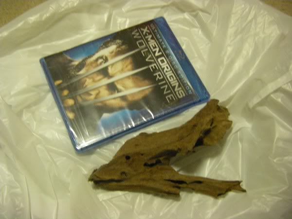 Bogwood_scaled.jpg