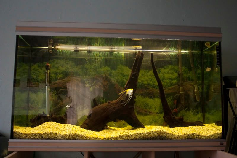 tank2.jpg