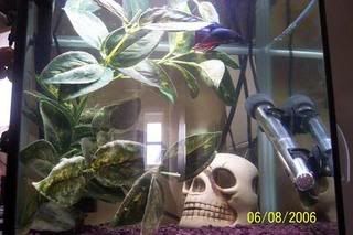 000_2602.jpg