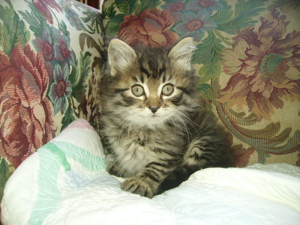 Picture323.jpg