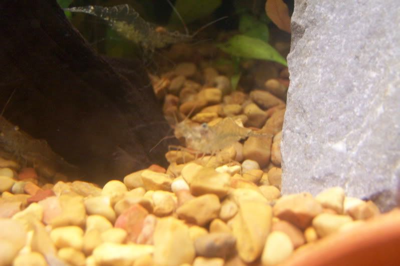 100_7708.jpg