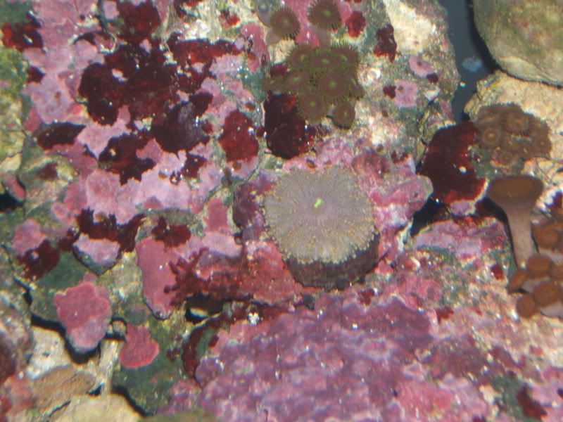 DSCF1477.jpg