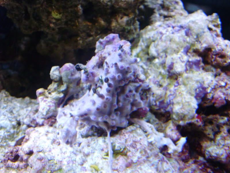 PB130237.jpg
